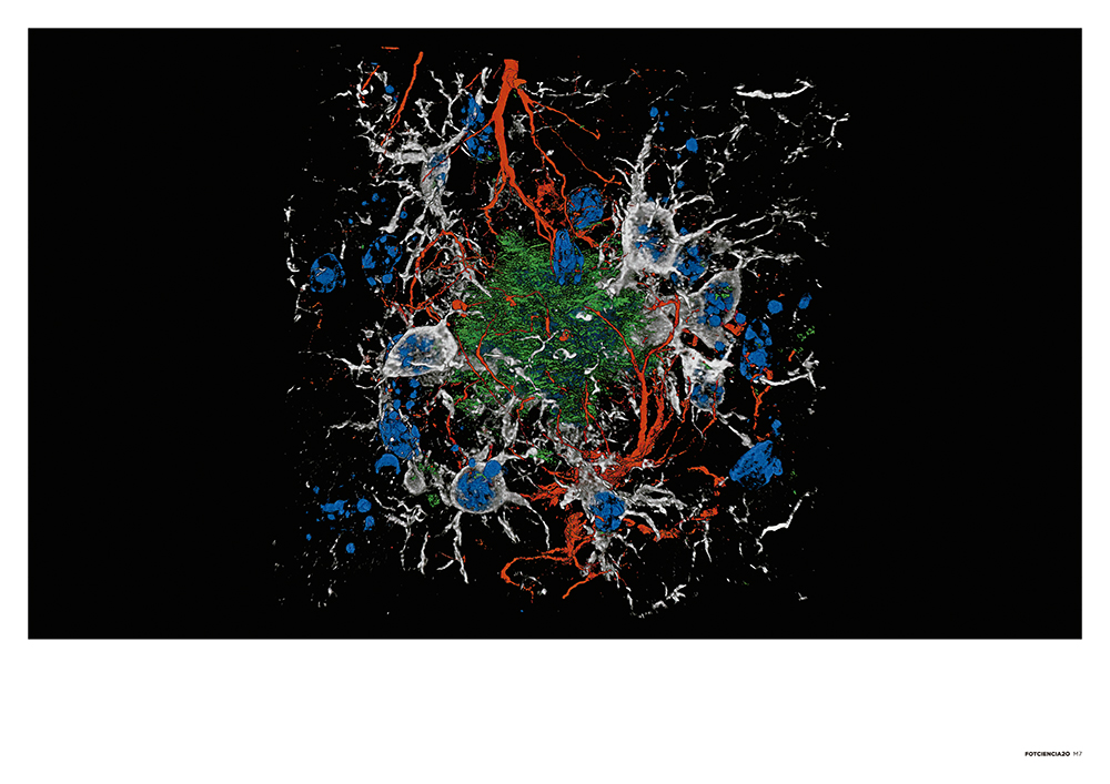 FOTCIENCIA20 imagen 13