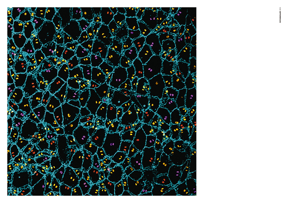 FOTCIENCIA20 imagen 19