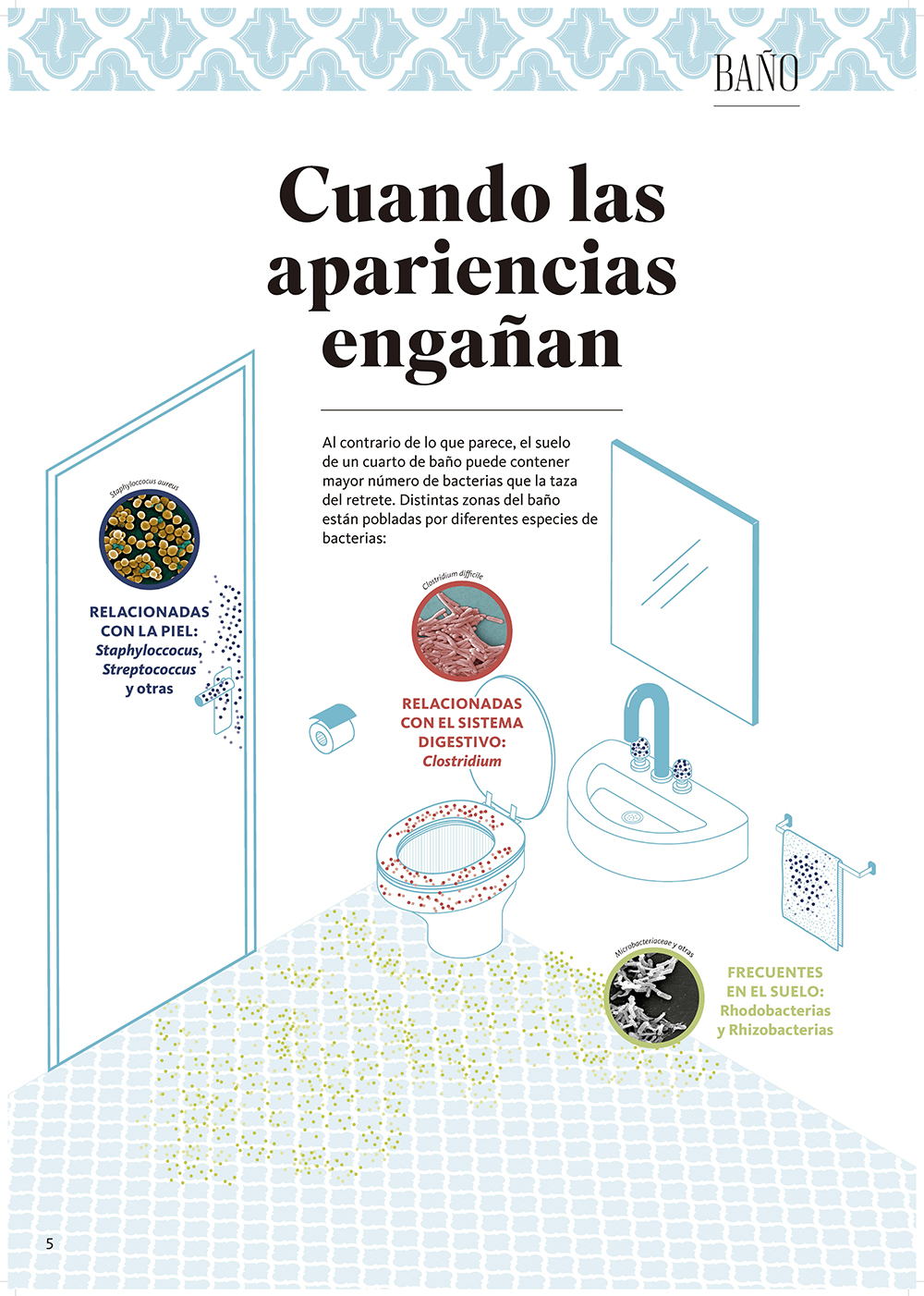 Biodiversidad doméstica. Compañeros de piso panel 6