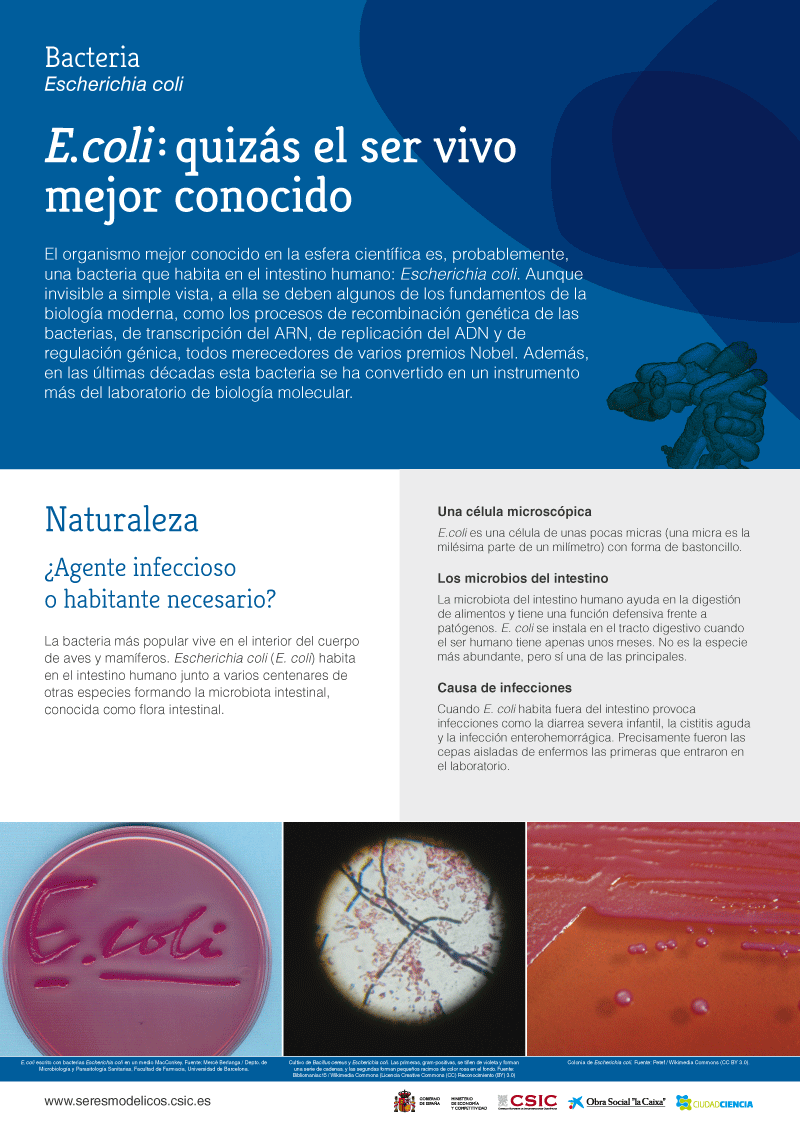 Seres modelicos panel 2