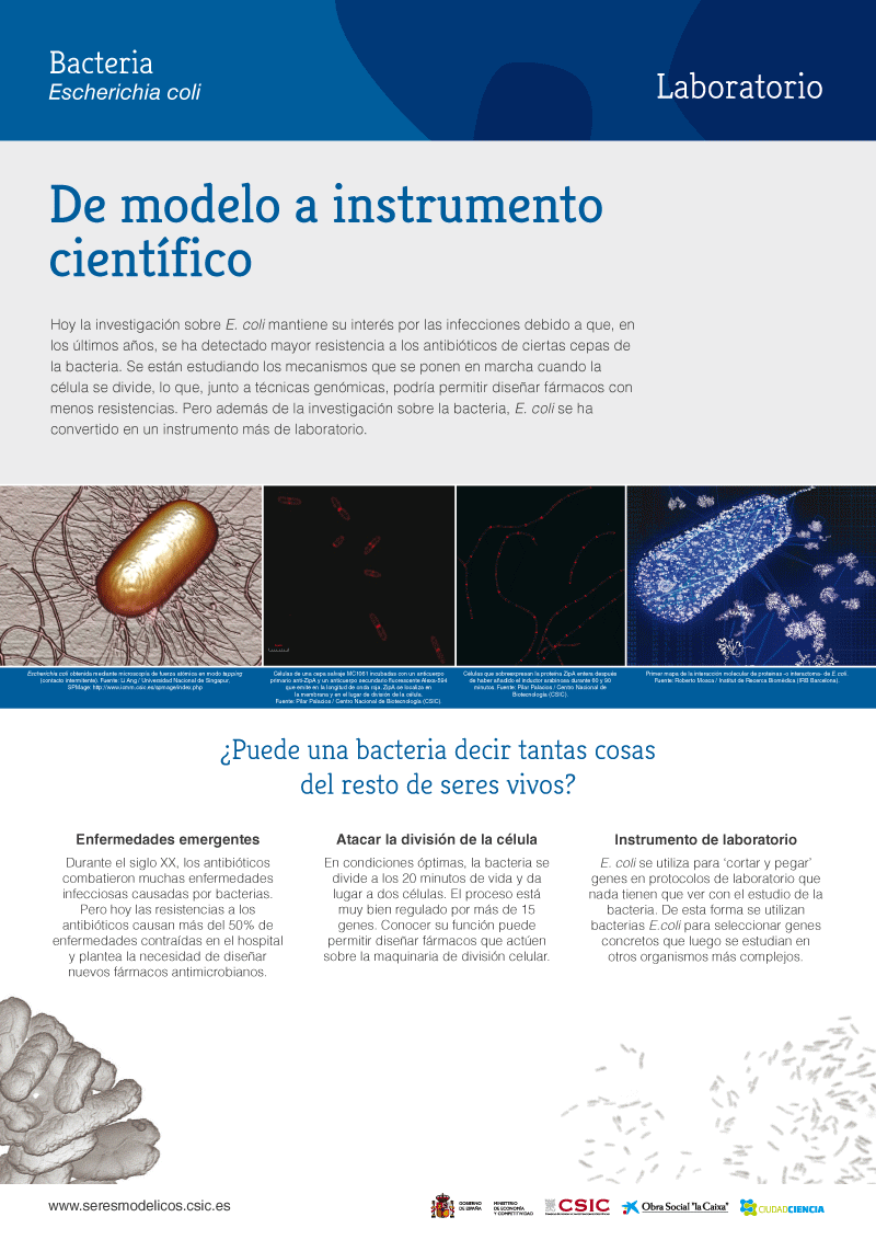 Seres modelicos panel 4