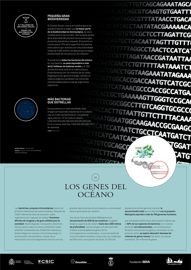 Un mar de datos panel 12