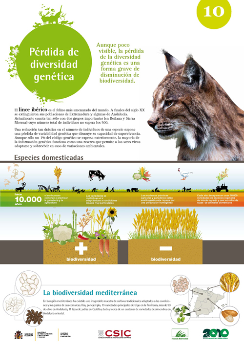 biodiversidad panel 10