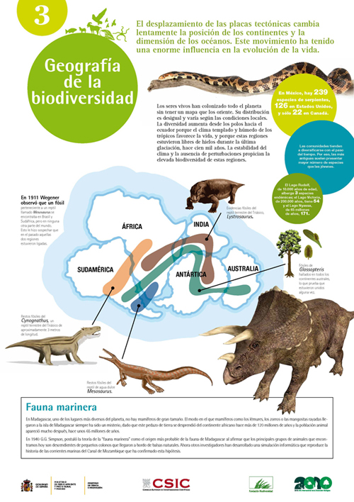 biodiversidad panel 3