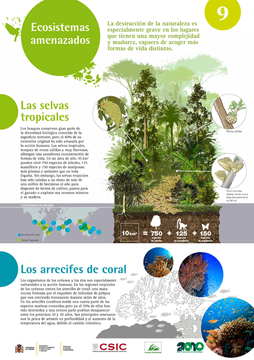 biodiversidad panel 9