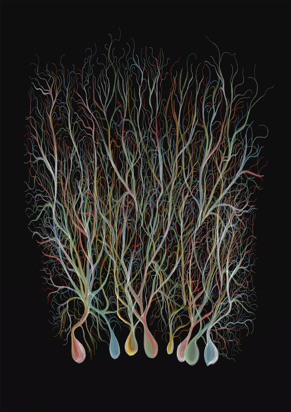 bosque de neuronas