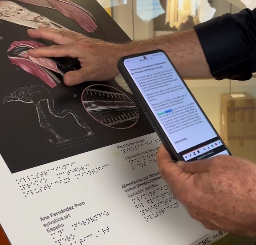 Persona leyendo con los dados y un teléfono móvil la información en relieve y en braille de uno de los paneles accesibles